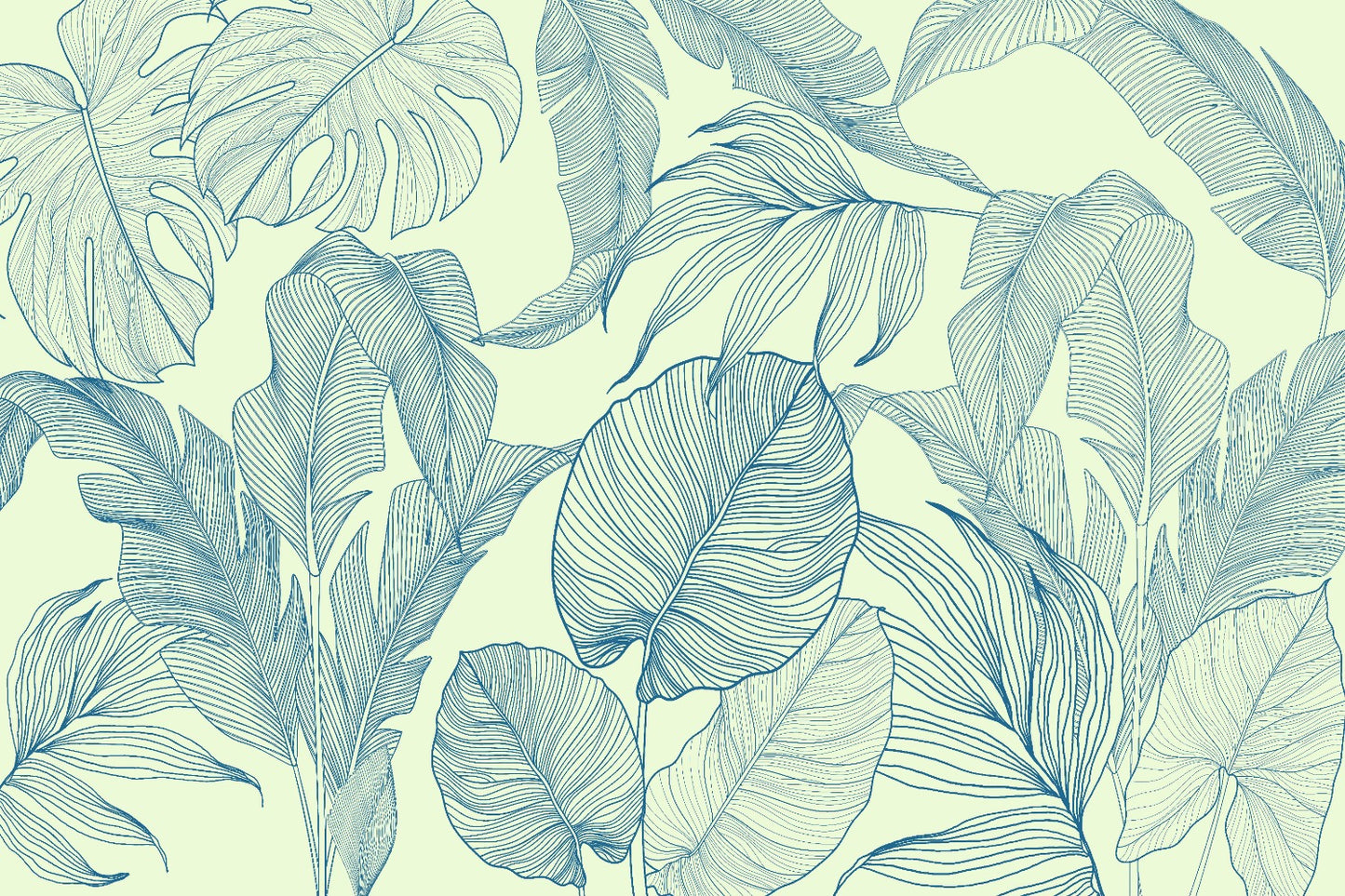 Linear Leaves